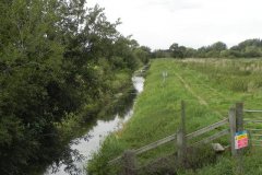 34.-Looking-downstream-from-Sharpham-Bridge