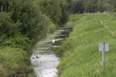 35.-Downstream-from-Sharpham-Bridge
