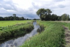 36.-Downstream-from-Sharpham-Bridge