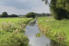 37.-Downstream-from-Sharpham-Bridge