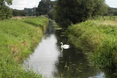 38.-Looking-upstream-to-Sharpham-Bridge