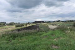 39.-Peat-Workings-by-South-Drain-at-Sharpham