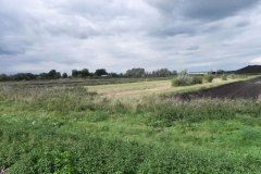 40.-Peat-Workings-by-South-Drain-at-Sharpham