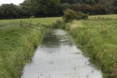 41.-Looking-upstream-from-Sharpham-Lane-Bridge