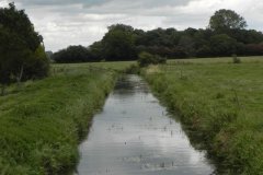 42.-Looking-upstream-from-Sharpham-Lane-Bridge
