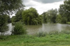 49.-Fishing-Pond-by-Sharpham-Lane-Bridge