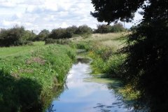 5.-Looking-upstream-from-Press-Moor-Bridge
