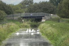 51.-Looking-downstream-from-Church-Farm-Bridge