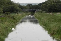 57.-Looking-downstream-from-Church-Farm-Bridge