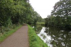 1.-Looking-upstream-to-Warnicombe-Bridge