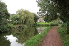 11.-Looking-downstream-from-Tidcombe-Bridge