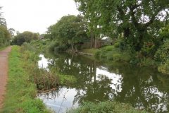 13.-Upstream-from-William-Authers-Footbridge-2