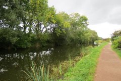 2.-Canal-between-Warnicombe-and-Tidcombe-Bridge-10