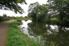 2.-Canal-between-Warnicombe-and-Tidcombe-Bridge-6