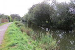 2.-Canal-between-Warnicombe-and-Tidcombe-Bridge-8