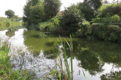 21a.-Canal-downstream-from-William-Authers-Footbridge
