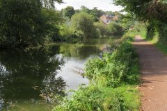 22.-Canal-upstream-from-Tiverton-Basin-9