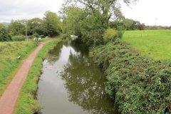 3.-Looking-upstream-from-Tidcombe-Bridge