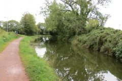 4.-Looking-upstream-from-Tidcombe-Bridge