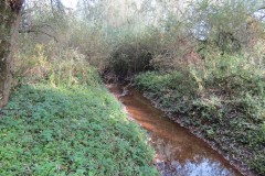 1.-Durliegh-Brook-upstream-from-Reservoir-11