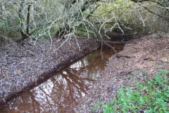 1.-Durliegh-Brook-upstream-from-Reservoir-12