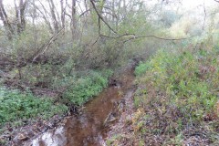 1.-Durliegh-Brook-upstream-from-Reservoir-13