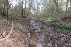 1.-Durliegh-Brook-upstream-from-Reservoir-14