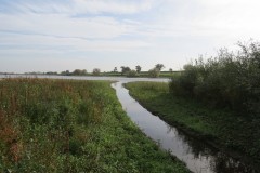 1.-Durliegh-Brook-upstream-from-Reservoir-18