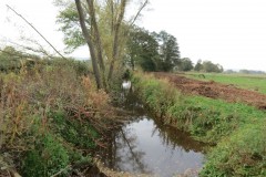 1.-Durliegh-Brook-upstream-from-Reservoir-25