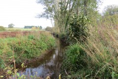1.-Durliegh-Brook-upstream-from-Reservoir-27