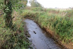 1.-Durliegh-Brook-upstream-from-Reservoir-30