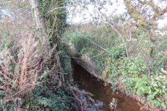 1.-Durliegh-Brook-upstream-from-Reservoir-31