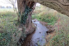 1.-Durliegh-Brook-upstream-from-Reservoir-34