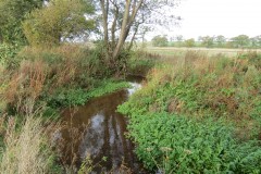 1.-Durliegh-Brook-upstream-from-Reservoir-36