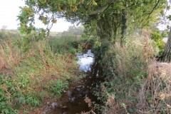 1.-Durliegh-Brook-upstream-from-Reservoir-37