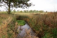 1.-Durliegh-Brook-upstream-from-Reservoir-38