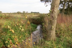 1.-Durliegh-Brook-upstream-from-Reservoir-39