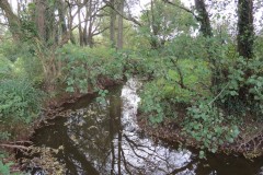 1.-Durliegh-Brook-upstream-from-Reservoir-4