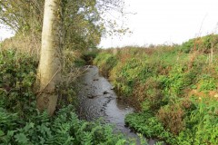 1.-Durliegh-Brook-upstream-from-Reservoir-40