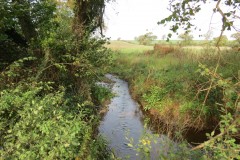 1.-Durliegh-Brook-upstream-from-Reservoir-41