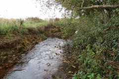 1.-Durliegh-Brook-upstream-from-Reservoir-42