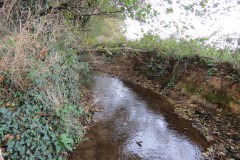 1.-Durliegh-Brook-upstream-from-Reservoir-43