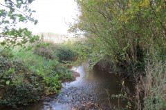 1.-Durliegh-Brook-upstream-from-Reservoir-49