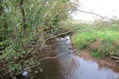 1.-Durliegh-Brook-upstream-from-Reservoir-50
