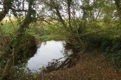 1.-Durliegh-Brook-upstream-from-Reservoir-51