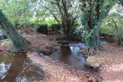 1.-Durliegh-Brook-upstream-from-Reservoir-54