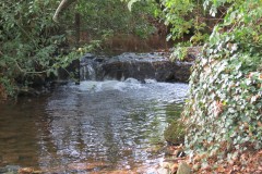 1.-Durliegh-Brook-upstream-from-Reservoir-56