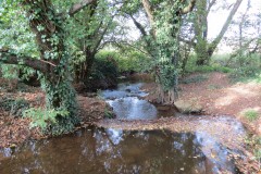 1.-Durliegh-Brook-upstream-from-Reservoir-57