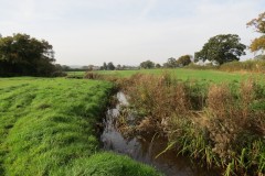 1.-Durliegh-Brook-upstream-from-Reservoir-58