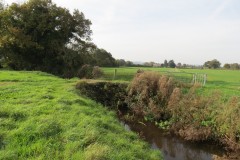 1.-Durliegh-Brook-upstream-from-Reservoir-59